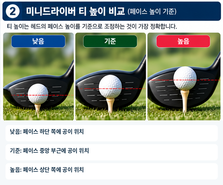 클럽별 티 높이 비교